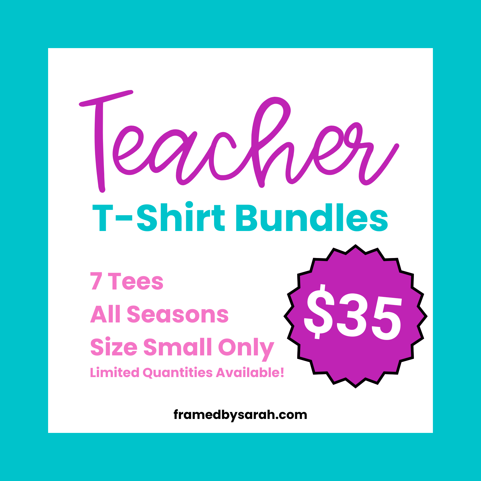 Teacher Mystery Bag - 7 Tees - Size SMALL Only!